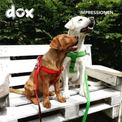 DDOXX Hondenharnas Nylon, Step-In, Verstelbaar, Uitbraakbestendig | Voor Kleine, Middelgrote & Grote Honden | Borstharnas Hond Kat Puppy Auto | Puppy Harnas Kat Harnas | Rood, S -Huisdierbenodigdheden Korting 1200x1200 1448