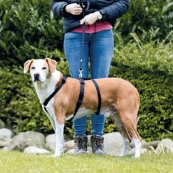 Trixie Stay Hondentuig Zwart Maat - S/M 13 Trixie Stay Hondentuig Zwart Maat - S/M -Huisdierbenodigdheden Korting 1200x1200 1450