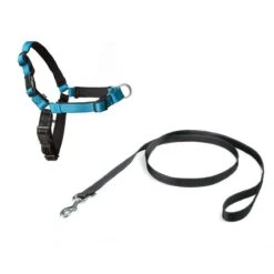 PetSafe Easy Walk® Deluxe Harness - Hondentuig - Blauw - L -1,8 M 29 PetSafe Easy Walk® Deluxe Harness - Hondentuig - Blauw - L -1,8 M -Huisdierbenodigdheden Korting 1200x1200 1453