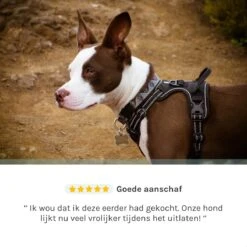 Hondentuigje – Hondenharnas - Anti Trek Tuig Hond – Y Tuig – Reflecterend – Zwart – Maat XL -Huisdierbenodigdheden Korting 1200x1200 1460
