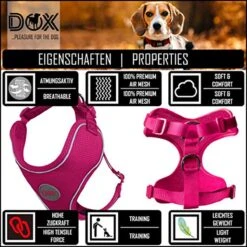 DDOXX Hondenharnas, Reflecterend, Verstelbaar, Breakaway | Borstharnas Voor Klein, Middelgroot | Hondenharnas Hond Kat Puppy Auto | Kattenharnas Puppy Harnas | Roze Roze, S -Huisdierbenodigdheden Korting 1200x1200 1463