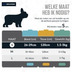 MM Brands Hondentuig - Harnas Hond - Y Tuig - Reflectie - Small - Zwart 11 MM Brands Hondentuig - Harnas Hond - Y Tuig - Reflectie - Small - Zwart -Huisdierbenodigdheden Korting 1200x1200 1475