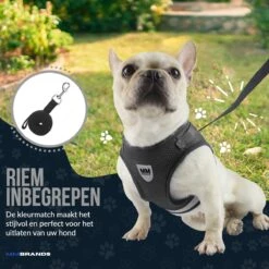 MM Brands Hondentuig - Harnas Hond - Y Tuig - Reflectie - Small - Zwart 14 MM Brands Hondentuig - Harnas Hond - Y Tuig - Reflectie - Small - Zwart -Huisdierbenodigdheden Korting 1200x1200 1478