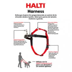 Company Of Animals Halti Harnass - Anti Trektuigje - Hond - Large - Borstomvang Boven De 80 Cm – Zwart -Huisdierbenodigdheden Korting 1200x1200 1483