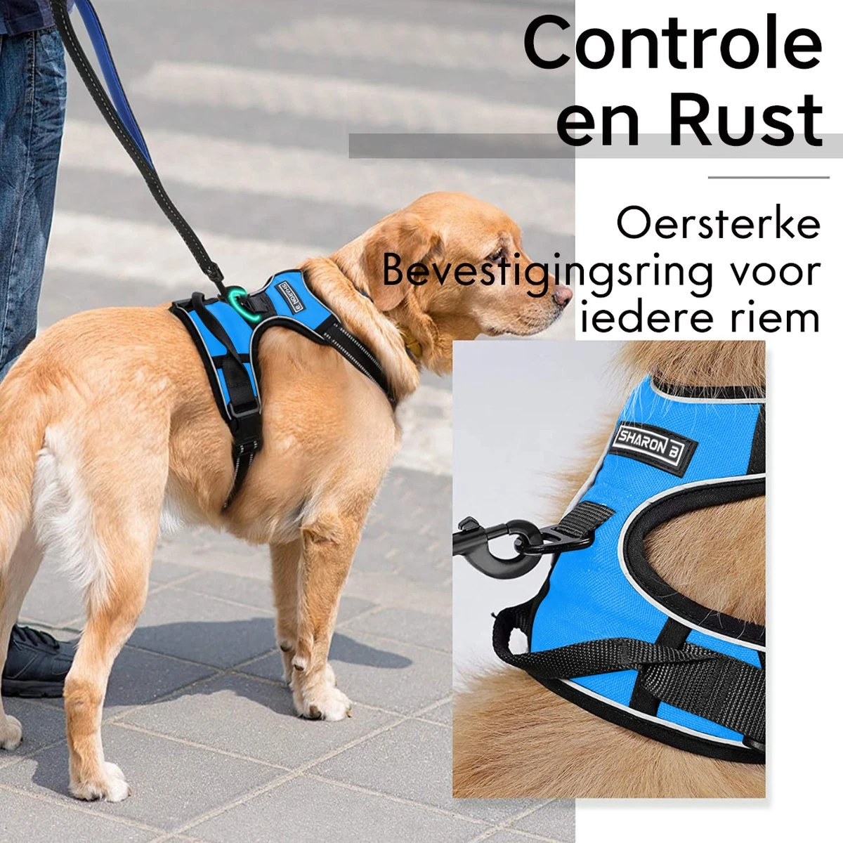 Sharon B - Hondentuigje - Voor Middelgrote Honden - Blauw - Maat M - No Pull Harnas - Anti Trek - Reflecterend - Hoeft Niet Over Het Hoofd Aangetrokken Te Worden 5 Sharon B - Hondentuigje - Voor Middelgrote Honden - Blauw - Maat M - No Pull Harnas - Anti Trek - Reflecterend - Hoeft Niet Over Het Hoofd Aangetrokken Te Worden - Image 3