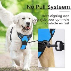 Sharon B - Hondentuigje - Voor Middelgrote Honden - Blauw - Maat M - No Pull Harnas - Anti Trek - Reflecterend - Hoeft Niet Over Het Hoofd Aangetrokken Te Worden 15 Sharon B - Hondentuigje - Voor Middelgrote Honden - Blauw - Maat M - No Pull Harnas - Anti Trek - Reflecterend - Hoeft Niet Over Het Hoofd Aangetrokken Te Worden -Huisdierbenodigdheden Korting 1200x1200 1489
