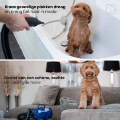 Nuvoo Professionele Hondenföhn / Waterblazer / Hondenborstel Met 3 Opzetstukken - Verstelbare Vermogen Tot 2200W - Warme / Koude Stand - Blauw -Huisdierbenodigdheden Korting 1200x1200 149