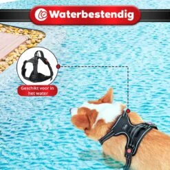 Purrr Fect Hondentuigje - Anti-Trek Tuig - Hondenharnas - Y Tuig Hond - Waterproof - Reflecterend - Verstelbaar - Maat L -Huisdierbenodigdheden Korting 1200x1200 1491