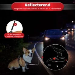 Purrr Fect Hondentuigje - Anti-Trek Tuig - Hondenharnas - Y Tuig Hond - Waterproof - Reflecterend - Verstelbaar - Maat L -Huisdierbenodigdheden Korting 1200x1200 1492