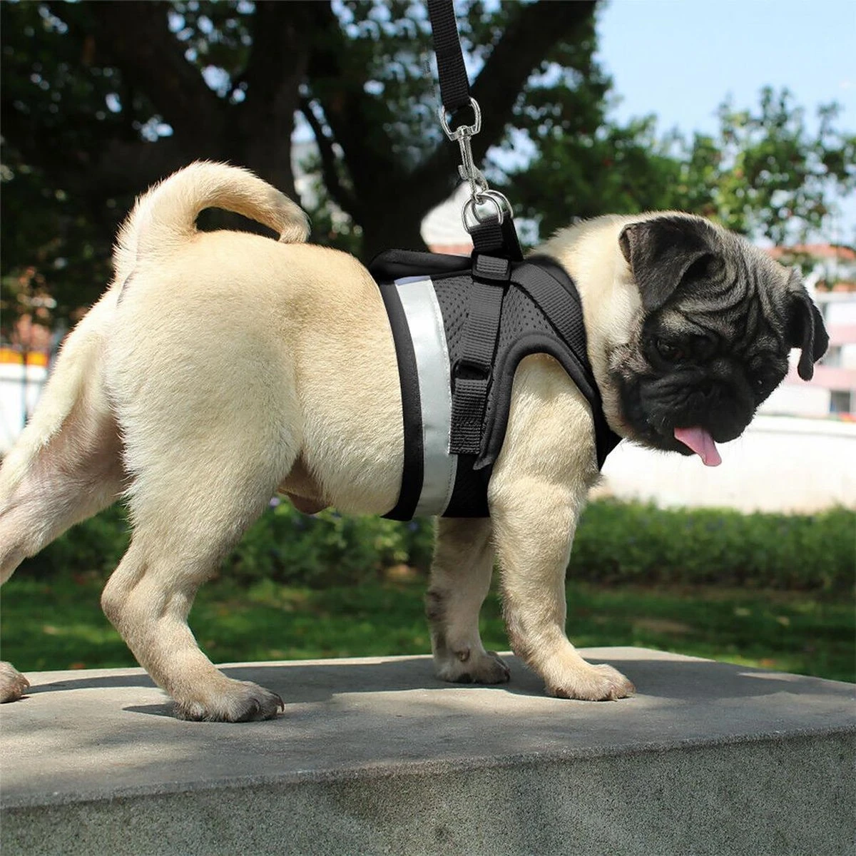 Hondentuig, Hondenharnas Met Hondenriem – Reflecterend - Zwart – Maat L (borst 40-45 Cm) 6 Hondentuig, Hondenharnas Met Hondenriem – Reflecterend - Zwart – Maat L (borst 40-45 Cm) - Image 4