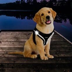 Topmast Airmesh Hondentuig - Click & Go - Petrol - L - Reflecterend - Harnas Hond - Hondentuigje - Hondenharnas - Voor Puppy, Kleine, Medium En Grote Hond -Huisdierbenodigdheden Korting 1200x1200 1503