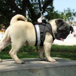 Hondentuig, Hondenharnas Met Hondenriem – Reflecterend - Zwart – Maat M (borst 35-40 Cm) -Huisdierbenodigdheden Korting 1200x1200 1507