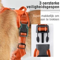 Sharon B - Hondentuigje - Voor Middelgrote Honden - Oranje - Maat M - No Pull - Anti Trek - Reflecterend - Hoeft Niet Over Het Hoofd Aangetrokken Te Worden -Huisdierbenodigdheden Korting 1200x1200 1508