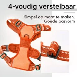 Sharon B - Hondentuigje - Voor Middelgrote Honden - Oranje - Maat M - No Pull - Anti Trek - Reflecterend - Hoeft Niet Over Het Hoofd Aangetrokken Te Worden -Huisdierbenodigdheden Korting 1200x1200 1512