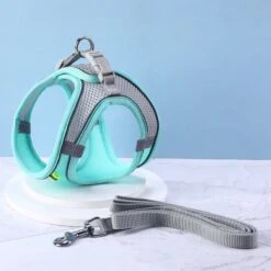 Hondentuigje Voor Kleine Puppy's & Kleine Honden - Blauw - Maat M