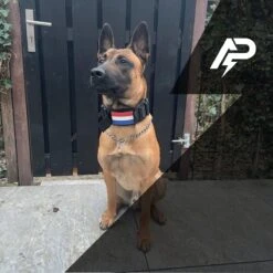 Always Prepared © Pro K9 Complete Set – Anti Trek Tuig – Honden Harnas – Y Tuig Hond – Trainings Riem – Best Getest 2022 – Halsband Hond – Middel En Grote Hond – Honden Tuigje – Harnas Hond – Veiligheidstuig – 450KG Anti Trek Test – Combi Deal -Huisdierbenodigdheden Korting 1200x1200 1527