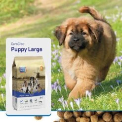 Carocroc Puppy Large Breed 15 KG 22 Carocroc Puppy Large Breed 15 KG -Huisdierbenodigdheden Korting 1200x1200 1538