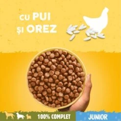 Pedigree Droog Junior Kip - Rijst 10 Kg -Huisdierbenodigdheden Korting 1200x1200 1539