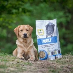 VITALstyle ADULT - Hondenbrokken - 12 Kg 13 VITALstyle ADULT - Hondenbrokken - 12 Kg -Huisdierbenodigdheden Korting 1200x1200 1550