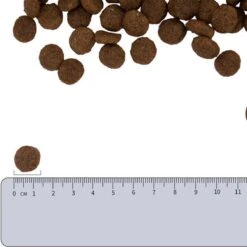 Vetality Hypoallergenic Hondenvoer - 10 Kg 8 Vetality Hypoallergenic Hondenvoer - 10 Kg -Huisdierbenodigdheden Korting 1200x1200 1552