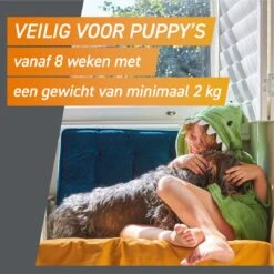 Frontpro Hond L 10-25 Kg 3 Tabletten -Huisdierbenodigdheden Korting 1200x1200 1570