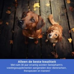 Sensipharm Feelings Control Anti-Stress Voor Hond En Kat - Kalmerend En Rustgevend Voedingssupplement Bij Stress, Angst En Agressie - 90 Tabletten à 1000 Mg -Huisdierbenodigdheden Korting 1200x1200 1576