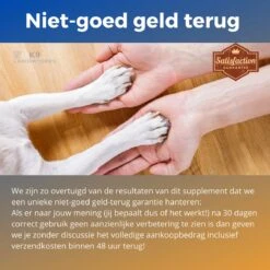 K9 Laboratories Gewricht & Heup 40+ Kg - 60 Stuks - Voor Grote Honden - Collageen - Glucosamine - Spirulina - Groenlipmossel -Huisdierbenodigdheden Korting 1200x1200 1585