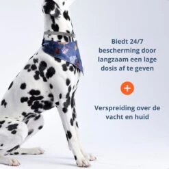 Merkloos Vlooienband Hond - 8 Maanden Bescherming - Vlooienband - Natuurlijk - Tekenband - Anti Vlooien - 63cm - Fit All Sizes - Vlooienbandjes Hond - Vlooien - Teken -Huisdierbenodigdheden Korting 1200x1200 1587