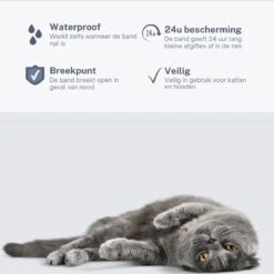 Merkloos Vlooienband Hond - 8 Maanden Bescherming - Vlooienband - Natuurlijk - Tekenband - Anti Vlooien - 63cm - Fit All Sizes - Vlooienbandjes Hond - Vlooien - Teken -Huisdierbenodigdheden Korting 1200x1200 1588