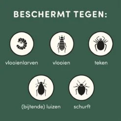 2 Stuks Vlooienband Kleine Hond Tekenband - 100% Natuurlijk Veilig En Waterbestendig -Huisdierbenodigdheden Korting 1200x1200 1590
