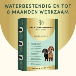 2 Stuks Vlooienband Kleine Hond Tekenband - 100% Natuurlijk Veilig En Waterbestendig -Huisdierbenodigdheden Korting 1200x1200 1592