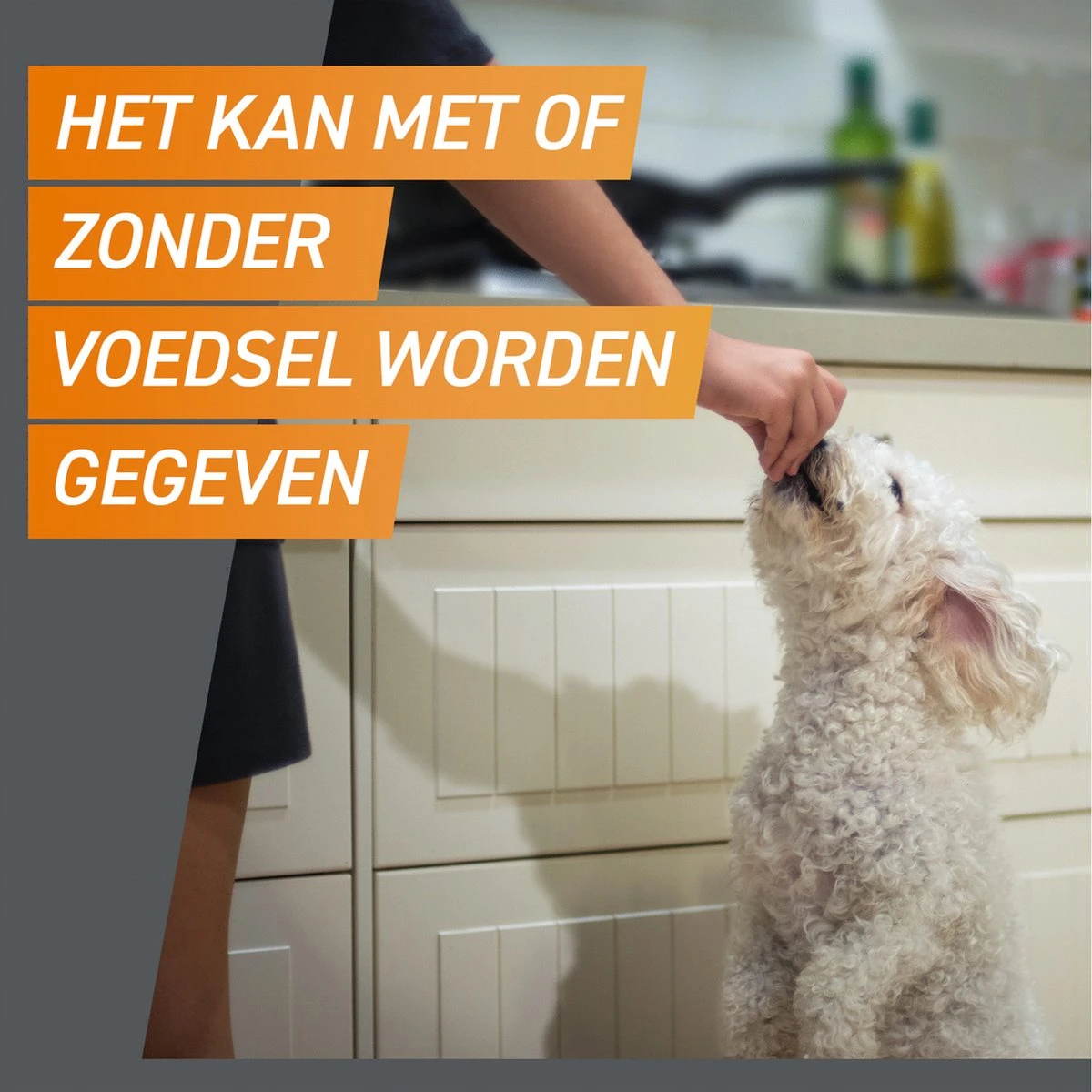 Frontpro Hond XL 25-50 Kg 3 Tabletten 9 Frontpro Hond XL 25-50 Kg 3 Tabletten - Image 7