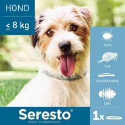 Seresto Vlooien En Tekenband - Kleine Hond - 0 Tot 8 Kg -Huisdierbenodigdheden Korting 1200x1200 1600
