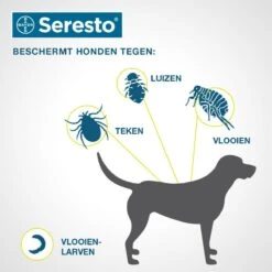 Seresto Vlooien En Tekenband - Kleine Hond - 0 Tot 8 Kg -Huisdierbenodigdheden Korting 1200x1200 1601