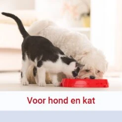 Pharmox Hond & Kat Glucosamine 1000 Ml - Belangrijke Bouwsteen Voor Honden En Katten - Geschikt Voor Ieder Type Hond Of Kat -Huisdierbenodigdheden Korting 1200x1200 1624