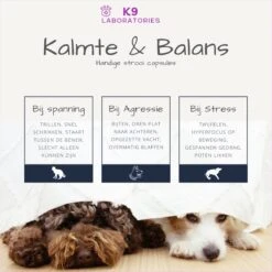 K9 Laboratories Kalmte & Balans - Hond - 60 Stuks - Bij Stress, Angst En Agressie - Ashwagandha - L-tryptofaan - Passiebloem - Valeriaanwortel - Lavendel -Huisdierbenodigdheden Korting 1200x1200 1626