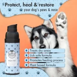BELLY Paw & Nose Cream - Honden Huidverzorging - Hondenpoten & Hondenneus Crème, Pootverzorging Voor Zachte & Beschermde Voetkussens - 50ml -Huisdierbenodigdheden Korting 1200x1200 1654