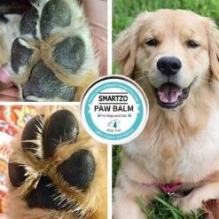 Poot Balsem – Neus Balsem - Huisdieren – Dieren – Poot Verzorging / Neus Verzorging – Verzorging Droge En Gebarsten Poten – Snelwerkende Formule - Hydraterend – Bio Balm - Potenbalsem - Neusbalsem - 60 Gram -Huisdierbenodigdheden Korting 1200x1200 1660