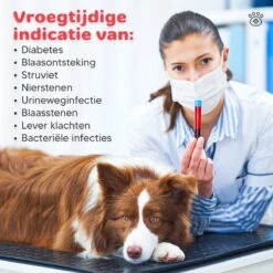 Thuistest Voor Honden - 2 Stuks - Urinetest - Diagnose Van Infecties - Diabetes - Blaasontsteking - Struviet - Nierstenen - Urineweginfectie - Blaasstenen 10 Thuistest Voor Honden - 2 Stuks - Urinetest - Diagnose Van Infecties - Diabetes - Blaasontsteking - Struviet - Nierstenen - Urineweginfectie - Blaasstenen -Huisdierbenodigdheden Korting 1200x1200 1662