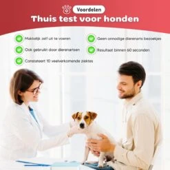 Thuistest Voor Honden - 2 Stuks - Urinetest - Diagnose Van Infecties - Diabetes - Blaasontsteking - Struviet - Nierstenen - Urineweginfectie - Blaasstenen 12 Thuistest Voor Honden - 2 Stuks - Urinetest - Diagnose Van Infecties - Diabetes - Blaasontsteking - Struviet - Nierstenen - Urineweginfectie - Blaasstenen -Huisdierbenodigdheden Korting 1200x1200 1664