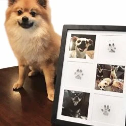 Merkloos Paw Print Pad - Pootafdruk Maken Van Hond Of Kat -Huisdierbenodigdheden Korting 1200x1200 1678