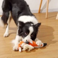 BoDutch Honden Knuffel - Vos - Puppyknuffel - Knisperoortjes - Met Piep - Oranje - 36 Cm - Hondenspeelgoed -Huisdierbenodigdheden Korting 1200x1200 1684