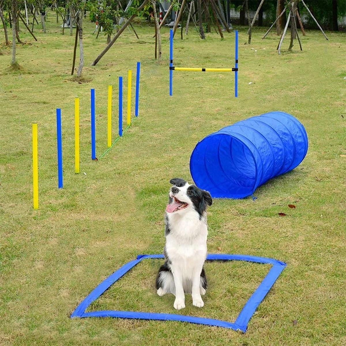 Agility Voor De Hond - 16 Delig - Agility Set - Hondentunnel - Horde - Slalom Palen - Honden Training Set - Honden Behendigheidsset - Agility Toestellen 7 Agility Voor De Hond - 16 Delig - Agility Set - Hondentunnel - Horde - Slalom Palen - Honden Training Set - Honden Behendigheidsset - Agility Toestellen - Image 5