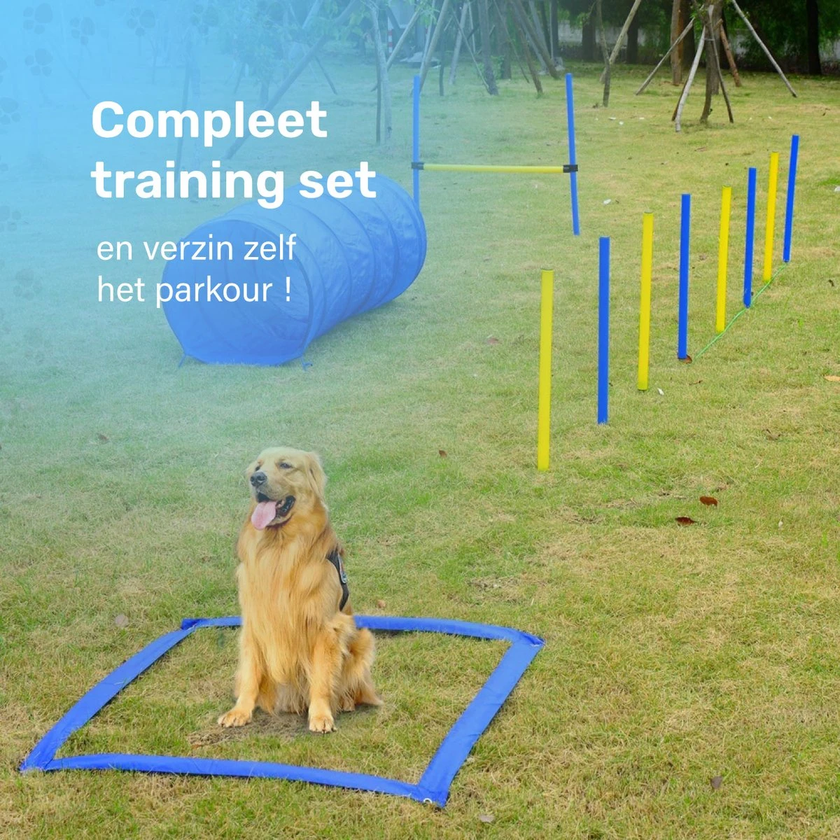 Agility Voor De Hond - 16 Delig - Agility Set - Hondentunnel - Horde - Slalom Palen - Honden Training Set - Honden Behendigheidsset - Agility Toestellen 12 Agility Voor De Hond - 16 Delig - Agility Set - Hondentunnel - Horde - Slalom Palen - Honden Training Set - Honden Behendigheidsset - Agility Toestellen - Image 10