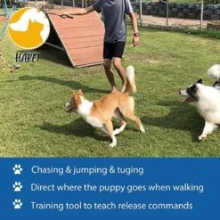 CF Pack - Hond Buitenspeelgoed Actief Behendigheid Touw Dog Flirt Pole Flirtpole Toy Tug Tease Wand Non-Bungee Cord Dog Toy For Fun Obedience Training Extandable Toy Honden Speelgoed Hondenspeelgoed Behendigheidspeelgoed -Huisdierbenodigdheden Korting 1200x1200 1721