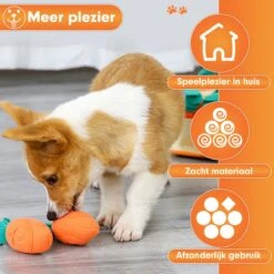 Premium Snuffelmat Voor Hond En Kat - Intelligentie Speelgoed - Snuffel Mat Puppy - IQ Hondenspeeltjes - Educatieve Training Huisdier - Snuffeltrainer Hondenpuzzel - Educatief Speelgoed - Vetalo -Huisdierbenodigdheden Korting 1200x1200 1724