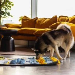 Snuffies Snuffelmat Jara 100x65cm - Snuffelmat – Snuffelmatten - Honden Speelgoed - Honden Speelgoed Intelligentie – Snuffelmat - Snuffelmat Hond - Snuffelmatten – Hersenwerk – Honden Speeltjes – Puppy - Puppy Speelgoed - Honden Denkspelletjes -Huisdierbenodigdheden Korting 1200x1200 1740