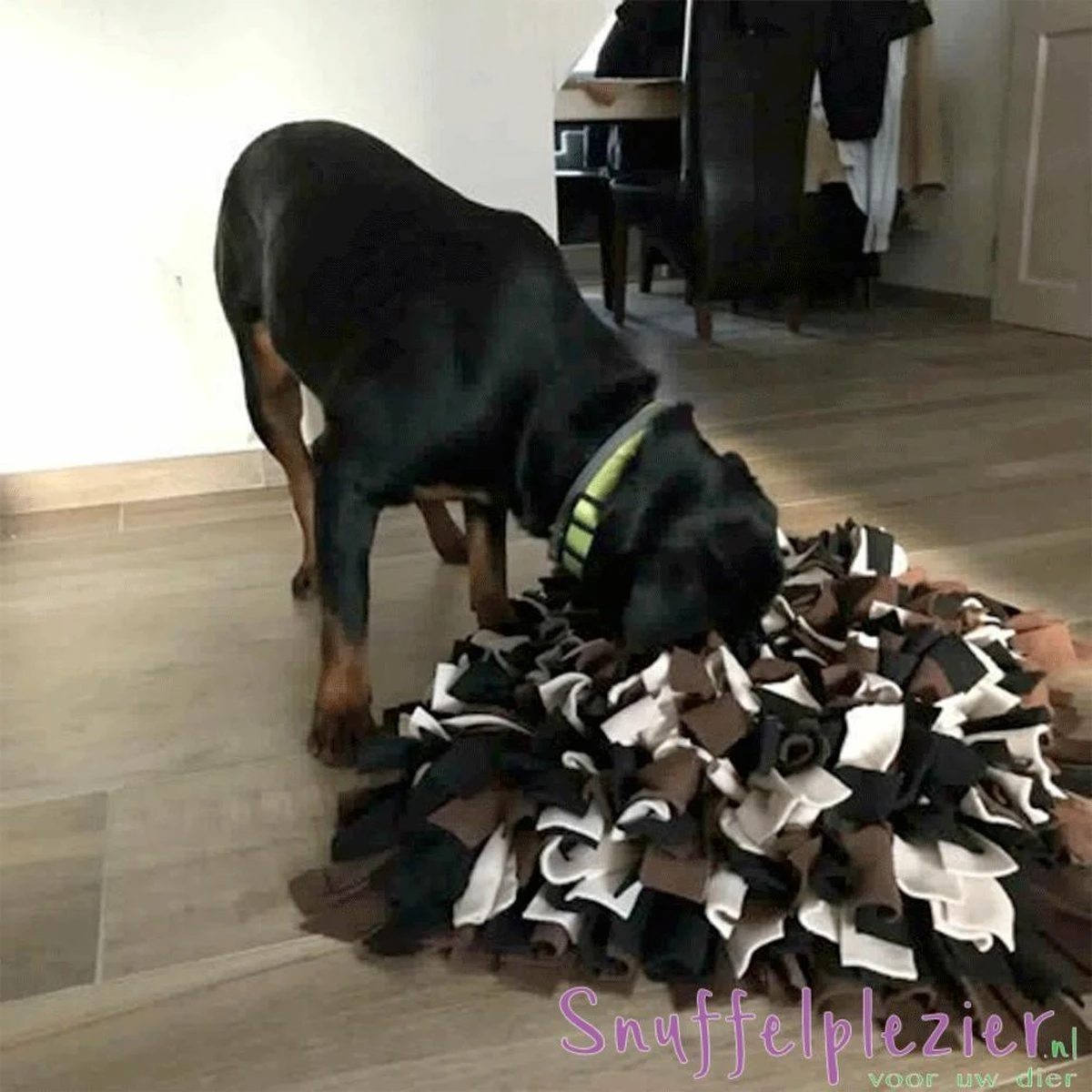 Snuffelplezier - Snuffelkussen Maat L Bruin/Zwart/Crème 3 Snuffelplezier - Snuffelkussen Maat L Bruin/Zwart/Crème