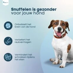 Pawzle Snuffelmat Hond - Likmat - Anti Schrokbak - Honden Speelgoed Intelligentie - Puppy - Inclusief Speelbal - 50x50cm - Blauw -Huisdierbenodigdheden Korting 1200x1200 1755