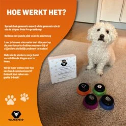 Vulpes Pets® PRO Praatknop Voor Honden Met Speelmat - Dogbuttons - Laat Uw Huisdier Spreken - Hondenspeelgoed - Honden Training - Inclusief E-Book En Speelmat -Huisdierbenodigdheden Korting 1200x1200 1770